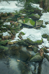 Winter stream covered