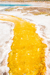 Scenic Yellowstone National Park in Wyoming, Montana and Idaho, USA