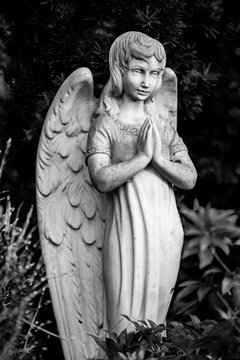 Statue eines betenden Engel mit gefalteten Händen  auf dem Friedhof in Berlin Hermsdorf