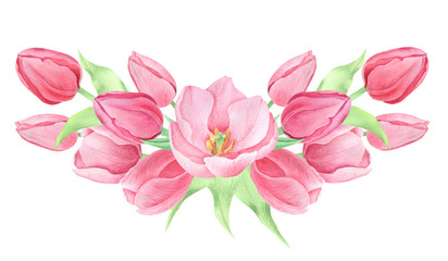 Fototapeta na wymiar Watercolor spring flowers 