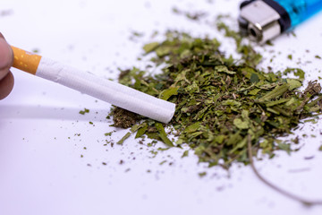 Marijuana leaves, Powder of Cannabis (Drugs) on a White background, For Analysis in laboratory.