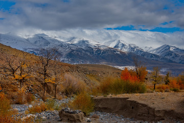 Russia. The South Of Western Siberia. Autumn in the Altai Mountains near the natural Park "Mars Rocks".