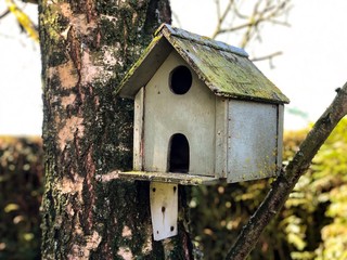 Bird house