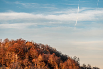 Bewaldeter Hügel im Abendrot mit Kondensstreifen am Himmel