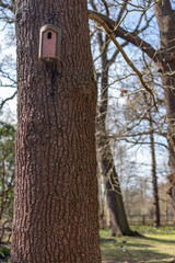 birdhouse on a tree