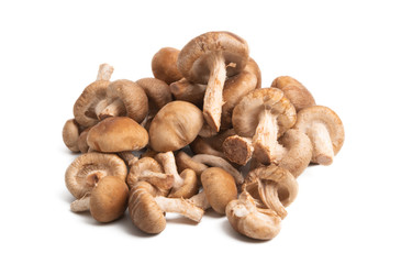 shiitake mushrooms isolated