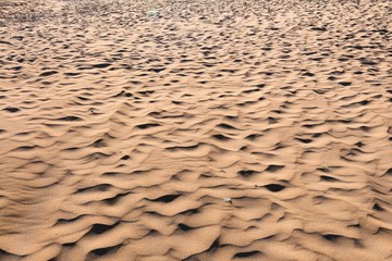 Sandy beach surface