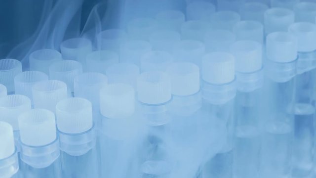 Medical Test Tubes In Cold Storage