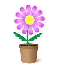 Naklejka na ściany i meble Flower in a pot.