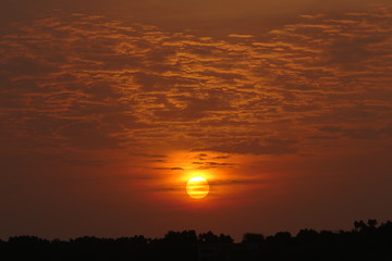 Natural and beautiful sunset with trees in the background