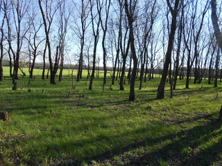 природа, пейзаж