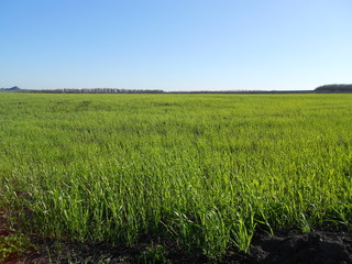 природа, пейзаж