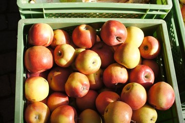 Markt bio apple