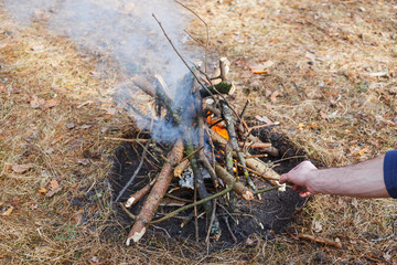 Bonfire in the spring forest on the background of withered grass. In the frame of the hand of a man.