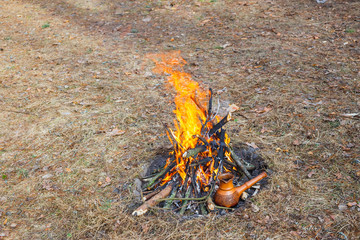 At the stake in the spring forest, a clay Turkish coffee pot is heated against the grass.