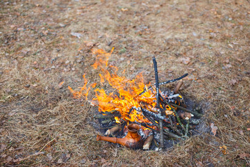 At the stake in the spring forest, a clay Turkish coffee pot is heated against the grass.