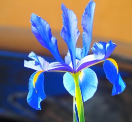 OLYMPUS DIGITAL CAMERA