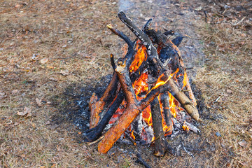Bonfire in the spring forest on the background of withered grass.