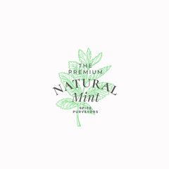 Premium Natural Mint Abstract Vector Sign, Symbol or Logo Template. Mint Branch with Leaves Sketch Illustration with Retro Typography. Vintage Luxury Emblem.