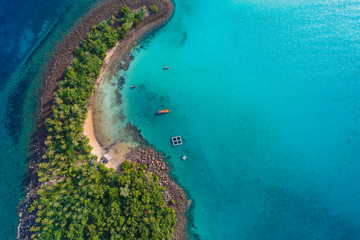Obraz premium Aerial view beautiful green tree on island with turquoise sea water
