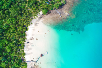 Aerial view sea island beach green coconut tree