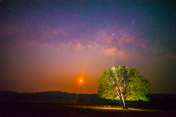 Beautiful nature landscape view of universe space of milky way galaxy and stars on sky at night and silhouette of tree,Thung Kamang, Thailand, Long exposure photograph with grain or noise - Image