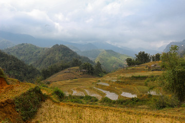 Fototapeta premium Vietnam