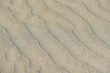 Fototapeta premium Sand texture after wind