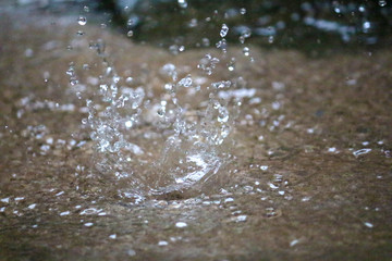 Pingou