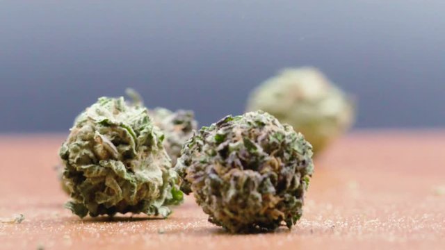 Slow motion cannabis buds falling over a wooden table. 120fps.