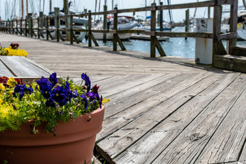 Water life is the best life! Outdoor scenes for boating, recreation. These were taken in Beaufort NC Harbor, Boating, Carrot Island, and scenes around this waterfront town in Eastern North Carolina