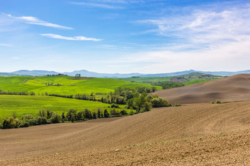 Fototapeta na wymiar Tuscan rolling rural landscape view in the spring