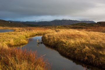 Thingvellir Nationalpark, Island