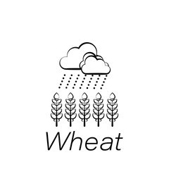 wheat hand draw icon. Element of farming illustration icons. Signs and symbols can be used for web, logo, mobile app, UI, UX