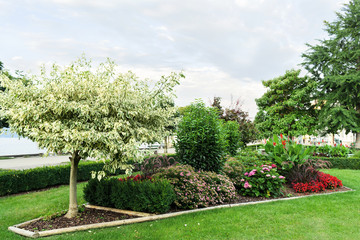 Naklejka premium A flower bed with flowers, shrubs and trimmed trees on the waterfront of the city.