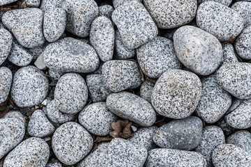 Granitowaa ścieżka kamienna w parku miejskim © ff25