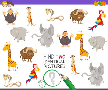 find two identical animals game for kids