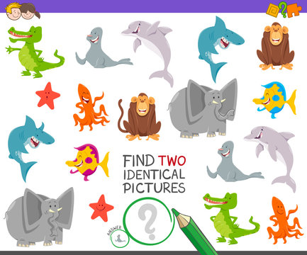find two identical animals task for children