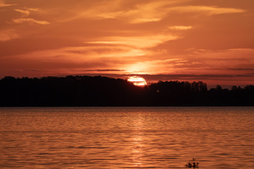 Naklejka premium Morning sun as it rises over a lake in Florida