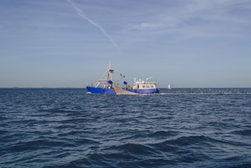 seagulls flying after fishing trawler in the sea