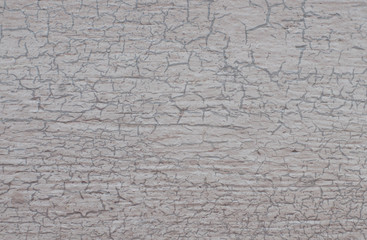 texture of old wall