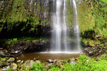 Fototapeta na wymiar Waterfall on madeira island