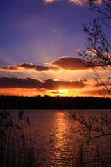 Naklejka premium Silhouette of reeds and buds of trees in front of a beautiful colorful sunset. Sun with its rays through the clouds over the lake
