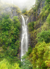 Risco waterfall - madeira island