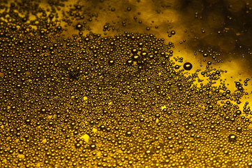 Beer bubbles
