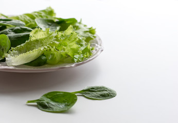 A mixture of spinach leaves and salana leaves on a plate. Selective focus, white background.