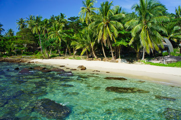 Paradise beach with blue sky and coconut palm tree at Koh Kood island,Thailand