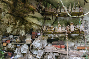 Cliffs burial site, traditional burial ground  in Tana Toraja, worldwide unique ancestor cult of Sulawesi, Indonesia