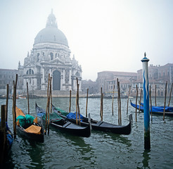 Gondolas moored in the mist on the Grand Canal Venice with the Church of Santa Mari della Salute in the background