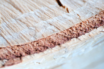 Wood texture. Tree cut close-up. Shallow depth of field. Half round cut down a tree.